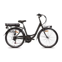 Preview: Cicli Esperia E200D BRETAGNE