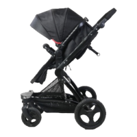 Preview: Coccolle Ambra