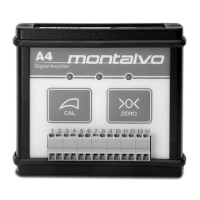 Preview: Montalvo A4