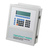 Preview: Panametrics DigitalFlow GM868