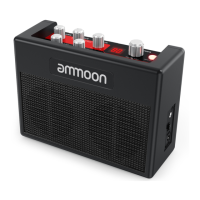 Preview: ammoon POCKAMP