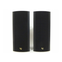 Preview: Infinity L-MPS