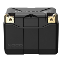 Preview: NOCO Genius NLP