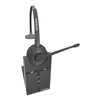 Preview: Sangoma H10