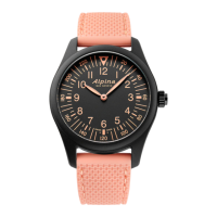 Preview: Alpina STERTIMER BALANCE