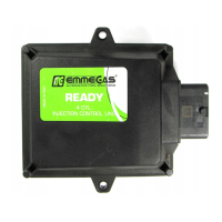 Preview: EmmeGas READY