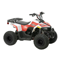 Preview: Coleman Powersports AT110