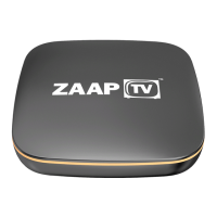 Preview: ZaapTV HD809N