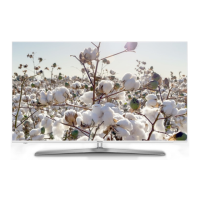 Preview: Hisense 55 P1