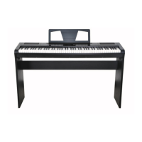 Preview: Gear4music SDP-3