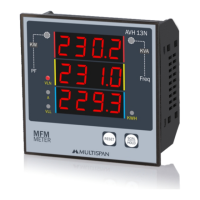 Preview: MULTISPAN AVH 13N
