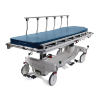 Preview: Steris Hausted 493RPCST