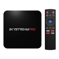 Preview: SkyStream Pro