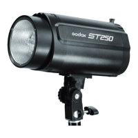 Preview: Godox ST250