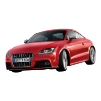 Preview: Audi TT Platform 2009