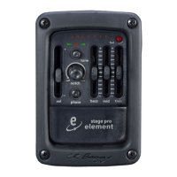 Preview: L.R. Baggs Stagepro Element