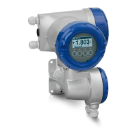 Preview: KROHNE OPTIMASS MFC 300