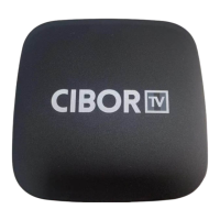 Preview: Roku CIBORTV