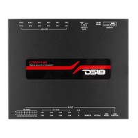 Preview: DS18 DSP12 i