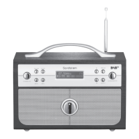 Preview: Sandstrom S1DAB11E