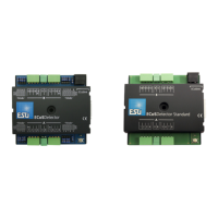 Preview: Esu ECoSDetector