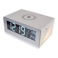 Preview: Sharper Image 207134