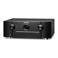 Preview: Marantz SR6009