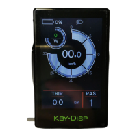 Preview: Key-Disp EMMO E-Wild X