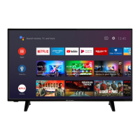 Preview: PROCASTER 43A900H