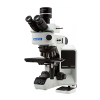 Preview: Olympus BX3 M-PSLED