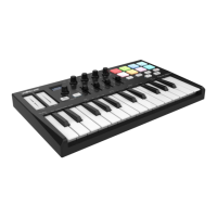 Preview: Worlde PANDAMINI II