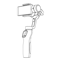 Preview: Funsnap Capture 2 Gimbal