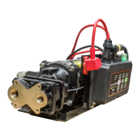 Preview: HALE FoamLogix 3.3