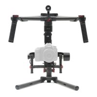 Preview: dji Ronin