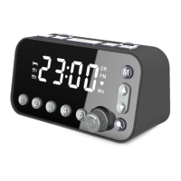 Preview: FettleLife DAB-A1