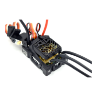 Preview: Castle Creations Mamba Micro X2