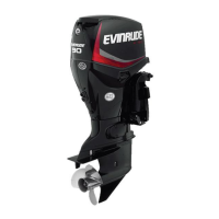 Preview: Evinrude E-tec 75 HP