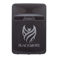 Preview: BLACKMORE BJS-180BT