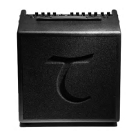 Preview: Tanglewood T6