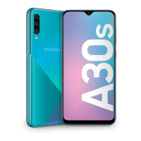 Preview: Samsung SM-A307 FN;DS