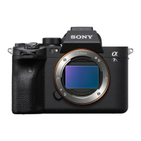Preview: Sony ILCE-7S