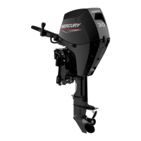 Preview: Mercury GO BOLDLY 25 EFI