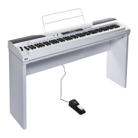 Preview: FAME DP-4000