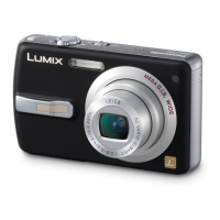 Preview: Panasonic LUMIX DMC-FX50 PP