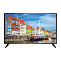 Preview: Bolva 50 BL00 H7-01