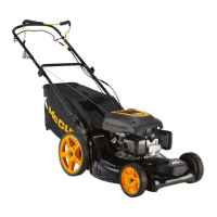 Preview: McCulloch M53-160WFP