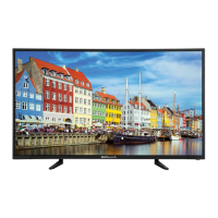 Preview: Bolva 40BV19