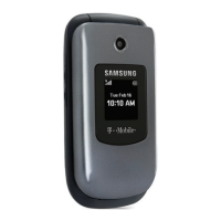 Preview: Samsung T-Mobile t139