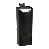 Preview: Flamingo Sturgeon