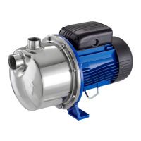 Preview: Lowara BG Series